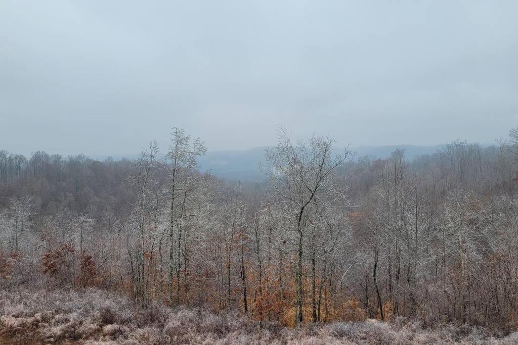 Great Little Guest Suite With Private Entry & Deck! Pet Friendly & 30 Mins To Nashville! Ashland City Kültér fotó