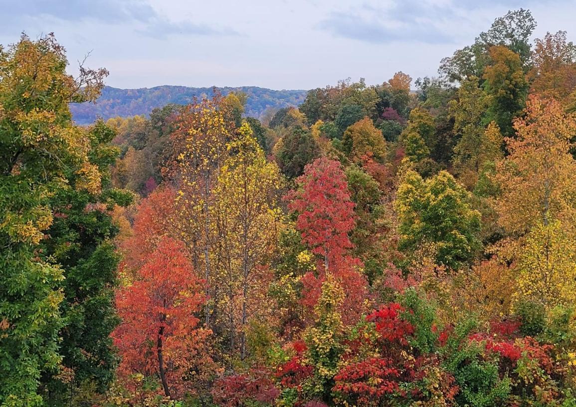 Great Little Guest Suite With Private Entry & Deck! Pet Friendly & 30 Mins To Nashville! Ashland City Kültér fotó
