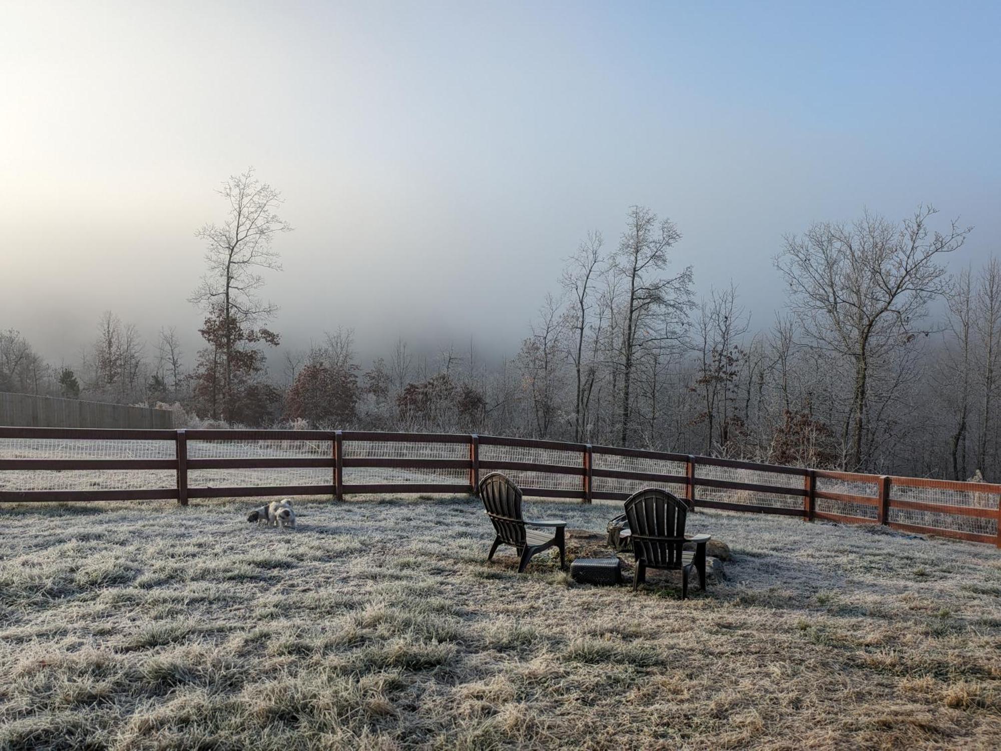 Great Little Guest Suite With Private Entry & Deck! Pet Friendly & 30 Mins To Nashville! Ashland City Kültér fotó