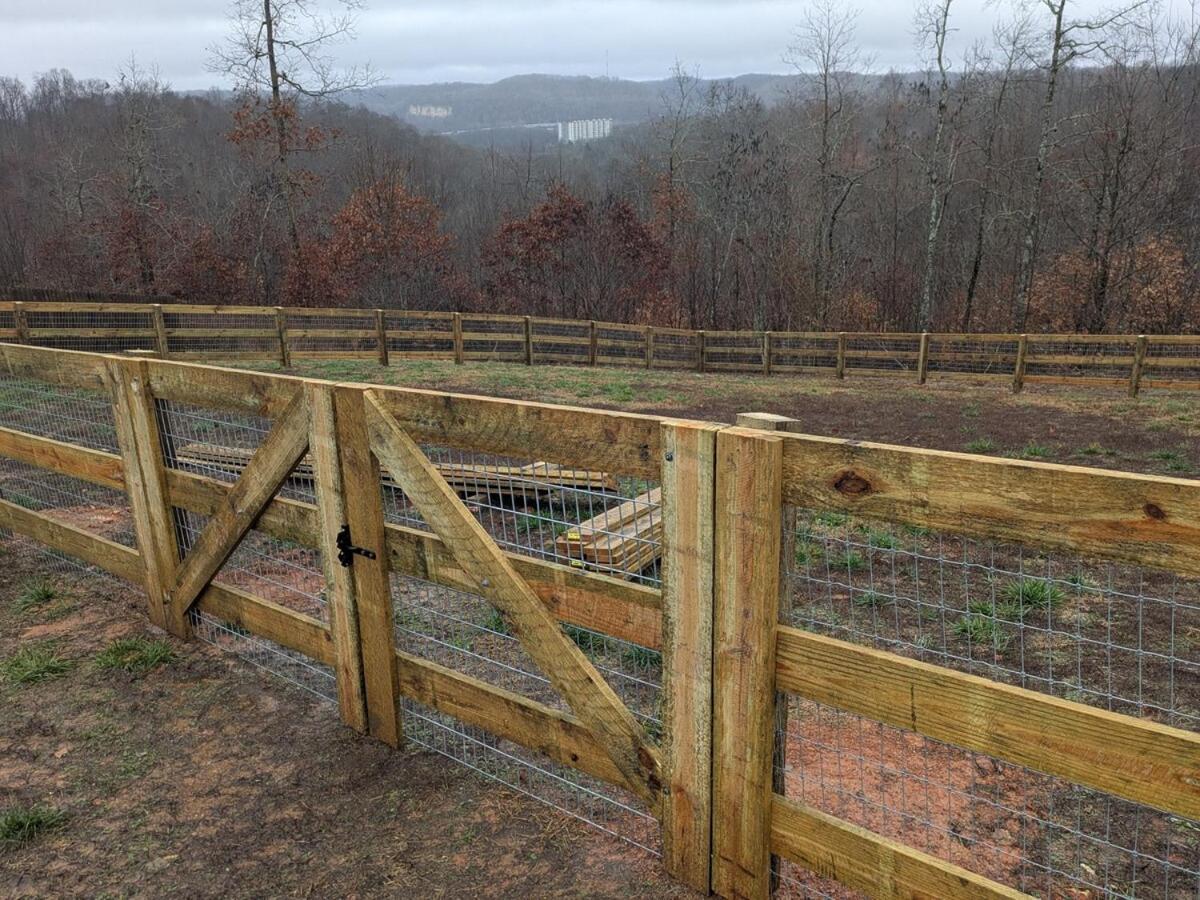 Great Little Guest Suite With Private Entry & Deck! Pet Friendly & 30 Mins To Nashville! Ashland City Kültér fotó
